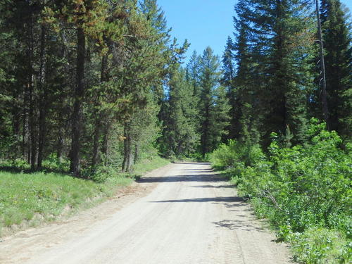 GDMBR: signs of mud and mud tracks from the last big rain are evident.